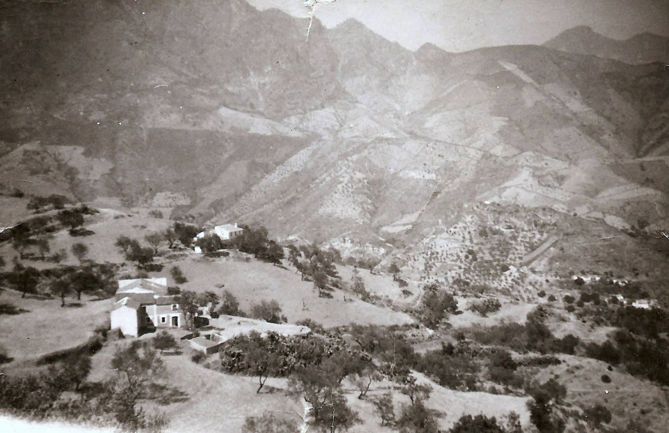Origenes - foto 1